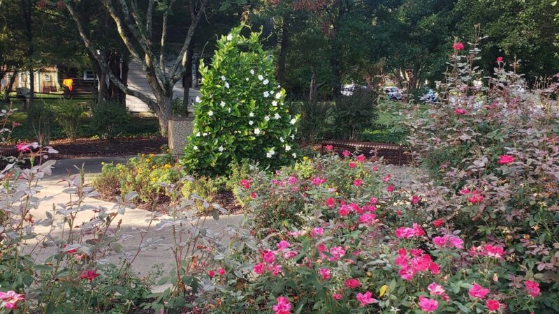 Capitol Landing Community Park - Williamsburg, VA