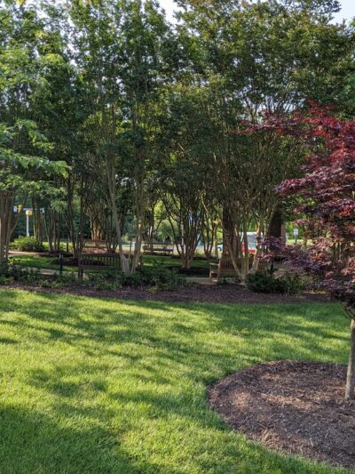Discovery Park - Williamsburg, VA