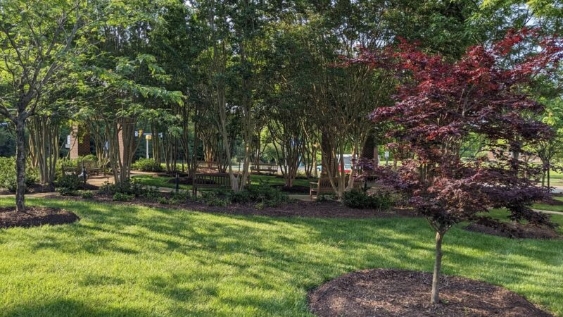 Discovery Park - Williamsburg, VA