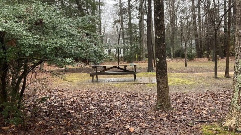 Geddy Park - Williamsburg, VA