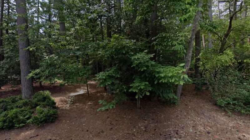 Geddy Park - Williamsburg, VA