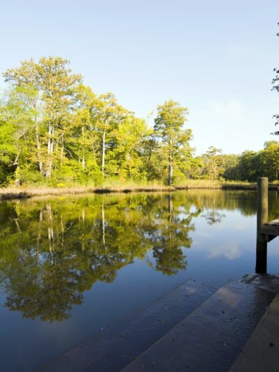 Powhatan Creek Park and Blueway - Williamsburg, VA
