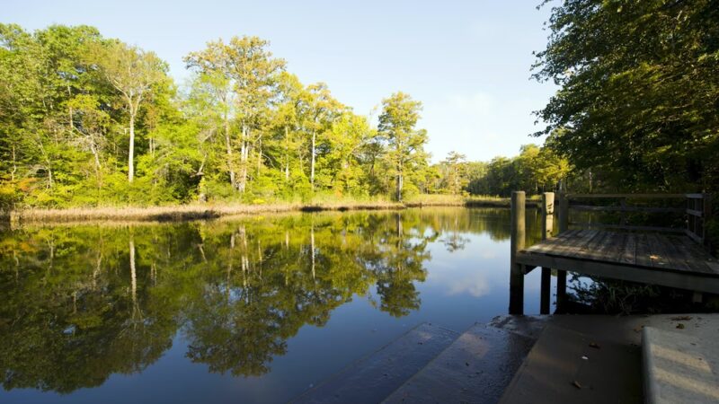 Powhatan Creek Park and Blueway - Williamsburg, VA