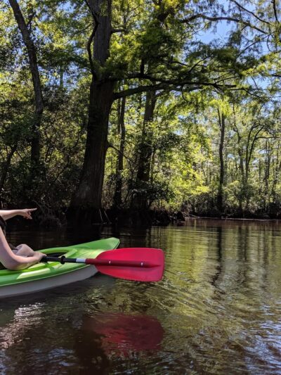 Powhatan Creek Park and Blueway - Williamsburg, VA