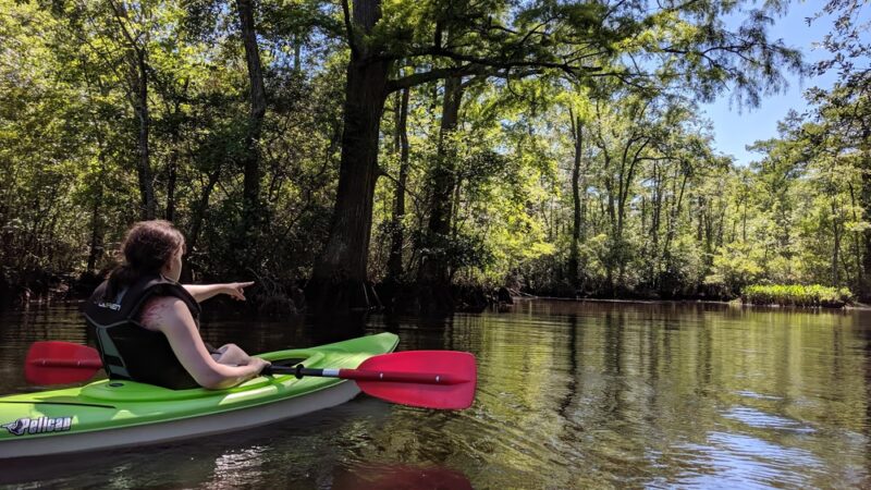 Powhatan Creek Park and Blueway - Williamsburg, VA