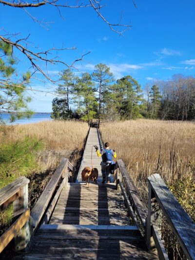 Taskinas Creek Trailhead - Williamsburg, VA