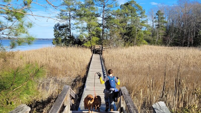 Taskinas Creek Trailhead - Williamsburg, VA