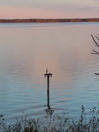 Taskinas Creek Trailhead - Williamsburg, VA