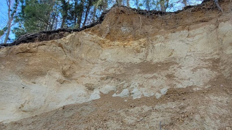 Taskinas Creek Trailhead - Williamsburg, VA