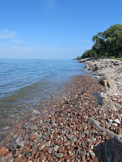 B. Forman Park - Williamson, NY