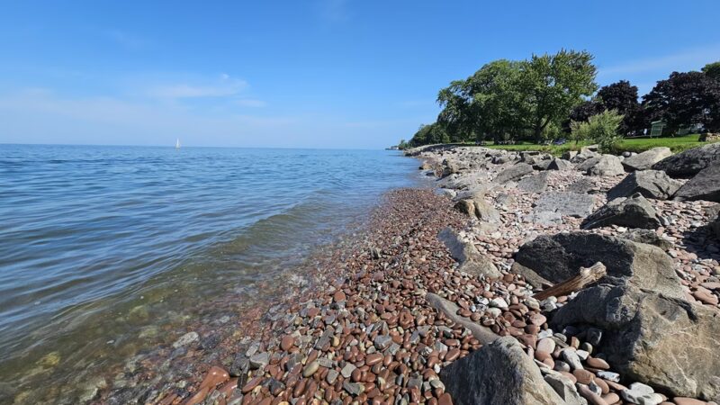 B. Forman Park - Williamson, NY