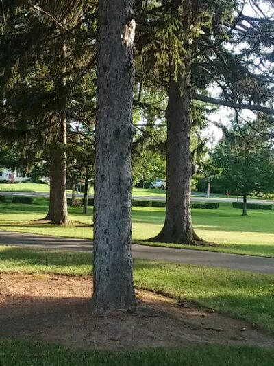 B. Forman Park - Williamson, NY