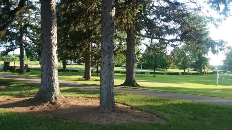 B. Forman Park - Williamson, NY