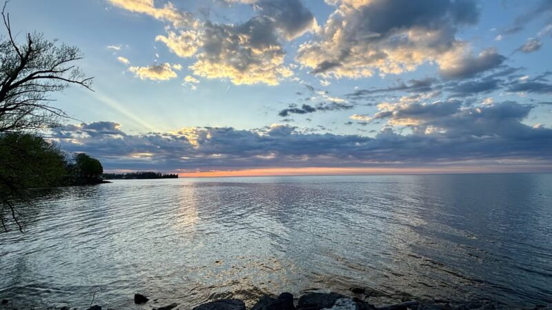 B. Forman Park - Williamson, NY