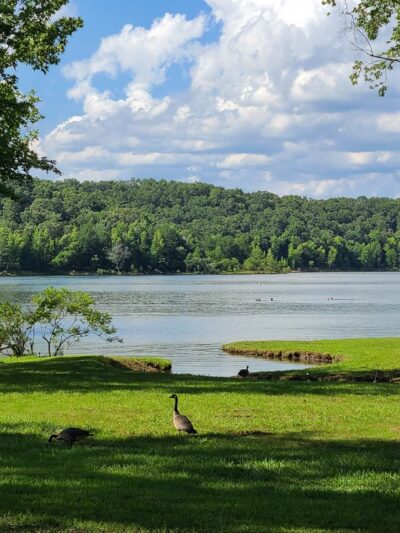 Lake Wappapello State Park - Williamsville, MO