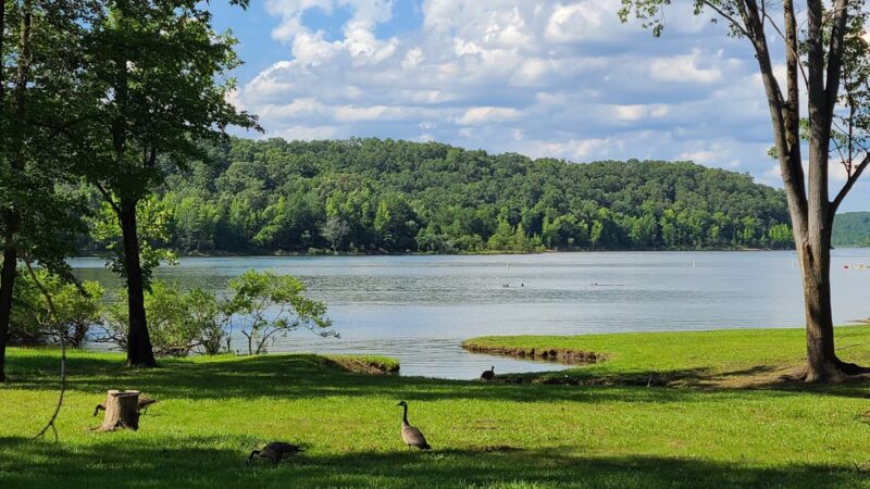 Lake Wappapello State Park - Williamsville, MO