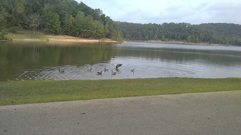 Lake Wappapello State Park - Williamsville, MO