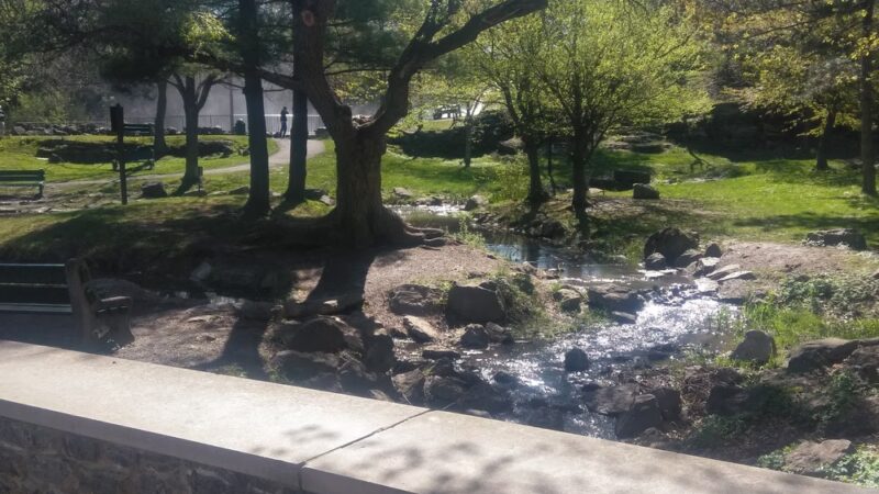 Glen Park Water Falls - Williamsville, NY