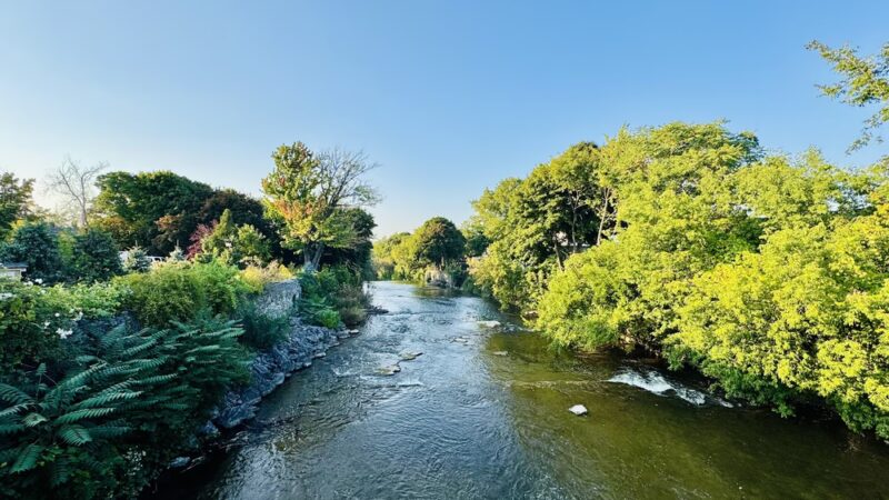 Glen Park Water Falls - Williamsville, NY