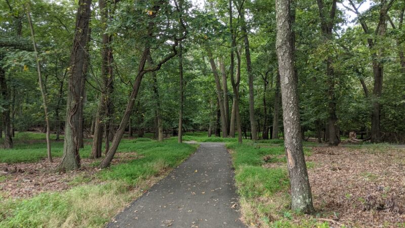 Mill Creek Park - Willingboro, NJ