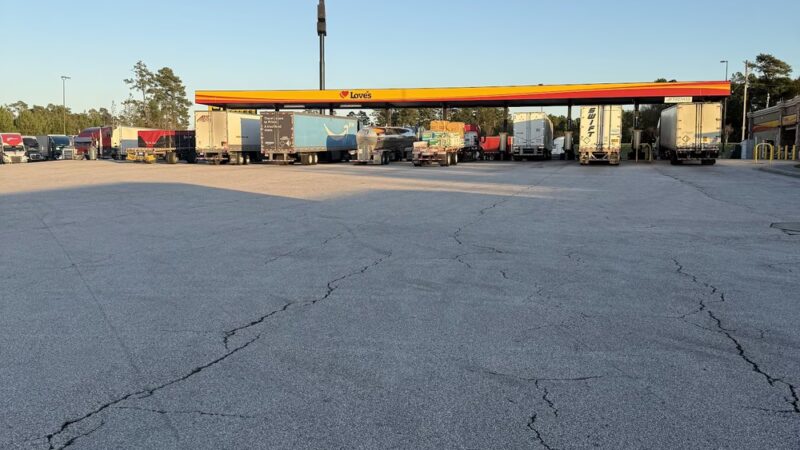 Dog Park at Love's Travel Stops - Willis, TX