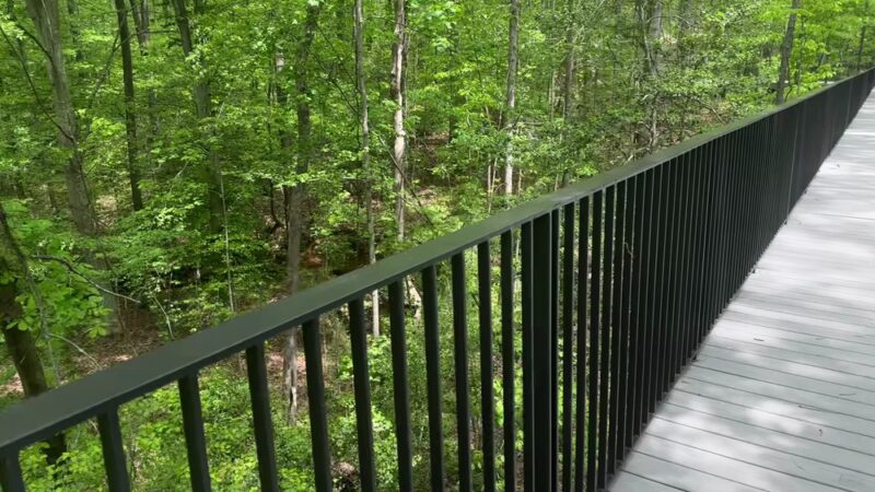 Beech Bluff County Park - Willow Spring, NC