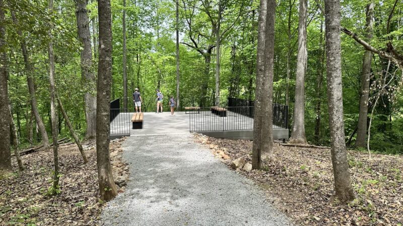 Beech Bluff County Park - Willow Spring, NC