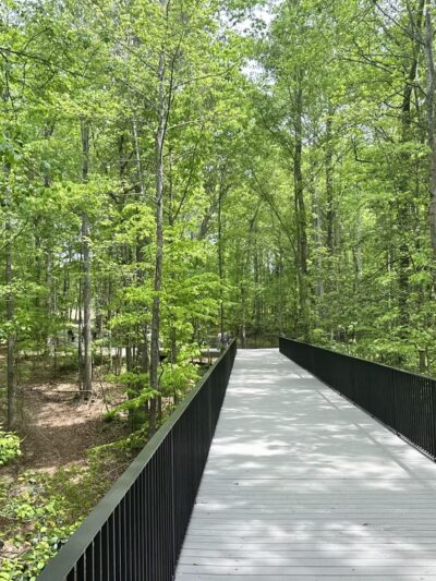 Beech Bluff County Park - Willow Spring, NC