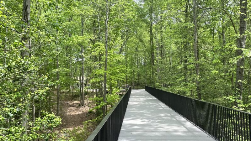 Beech Bluff County Park - Willow Spring, NC