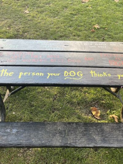 Willow Springs Dog Park - Willow Springs, IL