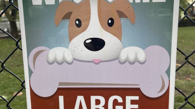 Willow Springs Dog Park - Willow Springs, IL