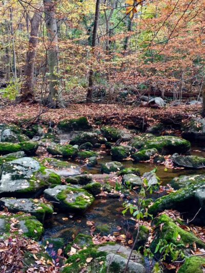 Arden Woods - Wilmington, DE