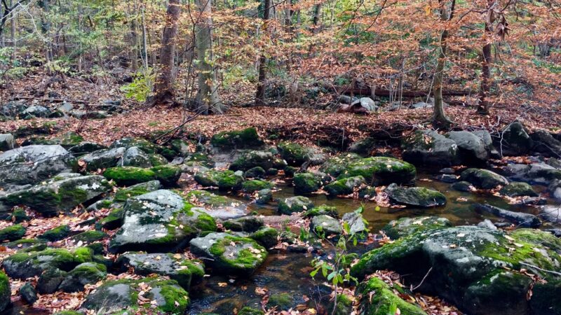 Arden Woods - Wilmington, DE