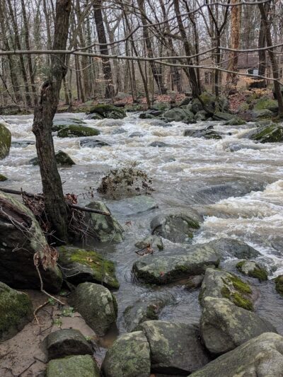 Arden Woods - Wilmington, DE