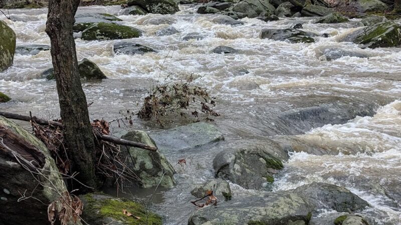 Arden Woods - Wilmington, DE