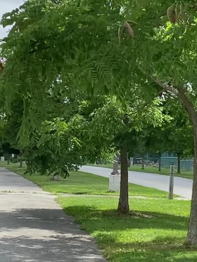 Banning Regional Park - Wilmington, DE