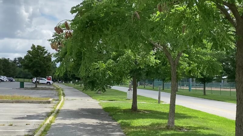 Banning Regional Park - Wilmington, DE