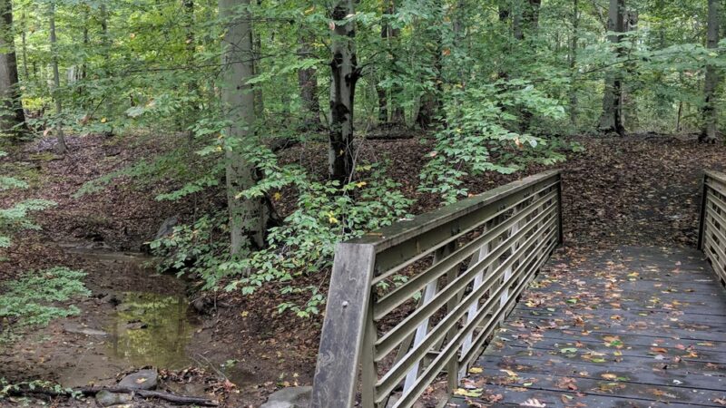 Bechtel Park - Wilmington, DE