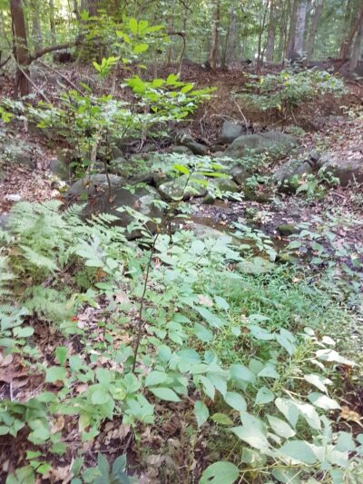 Bechtel Park - Wilmington, DE