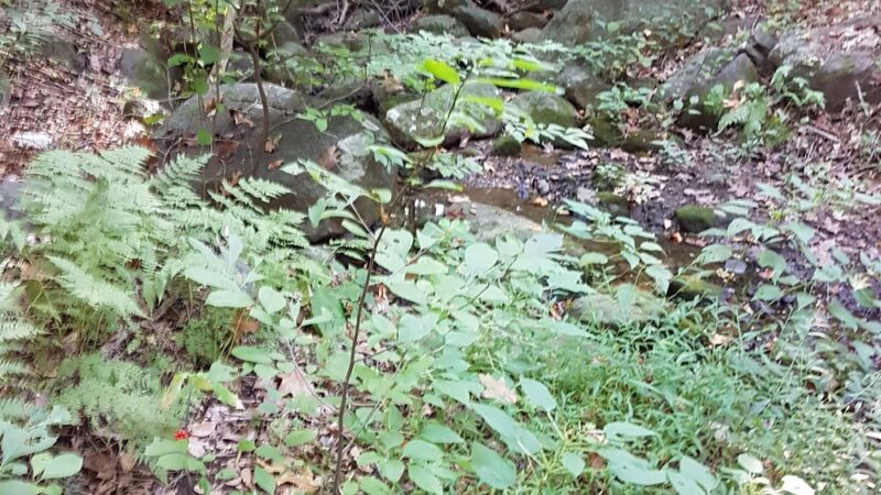 Bechtel Park - Wilmington, DE