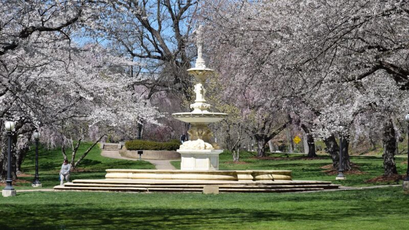 Brandywine Park - Wilmington, DE
