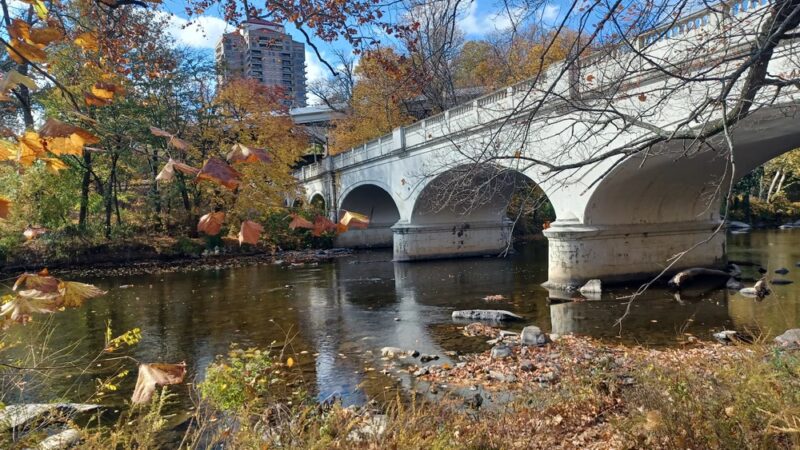 Brandywine Park - Wilmington, DE
