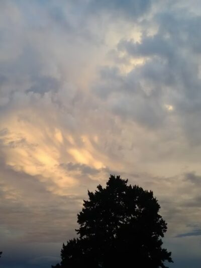 Calf Run - Wilmington, DE