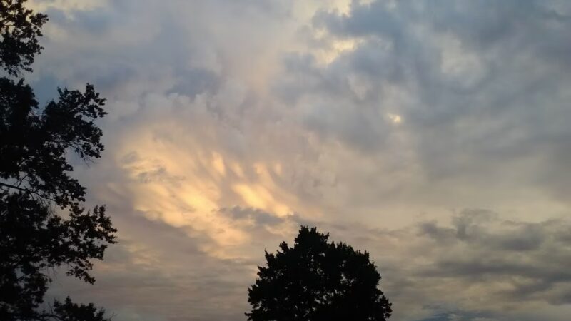 Calf Run - Wilmington, DE