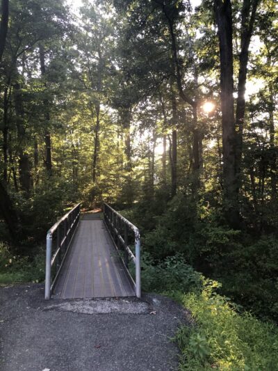 Devonshire Park - Wilmington, DE