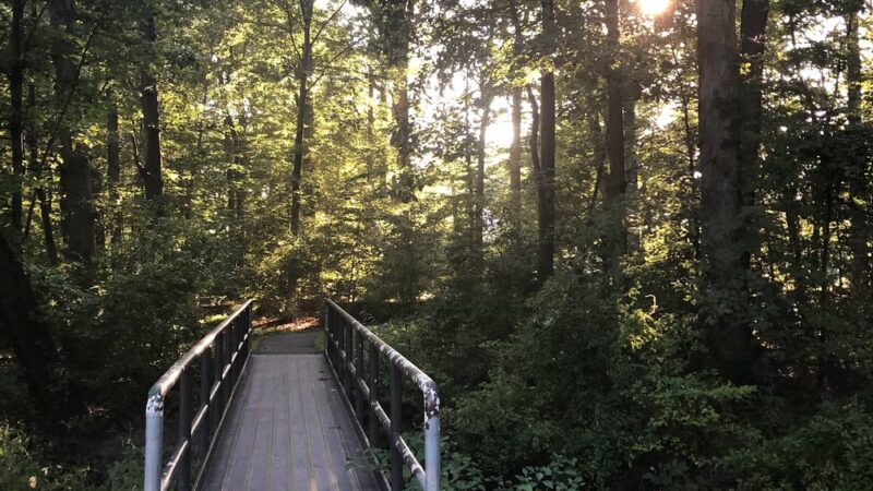 Devonshire Park - Wilmington, DE