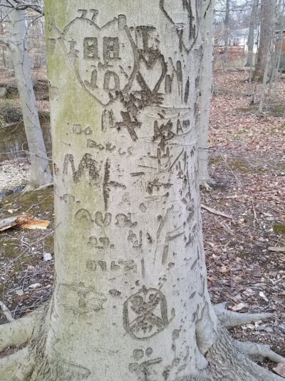 Devonshire Park - Wilmington, DE