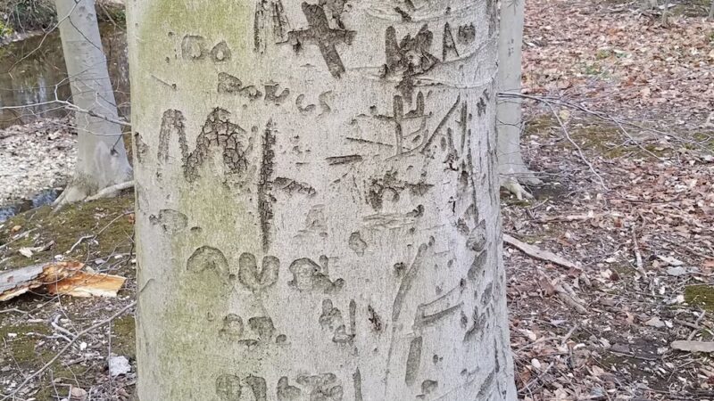 Devonshire Park - Wilmington, DE