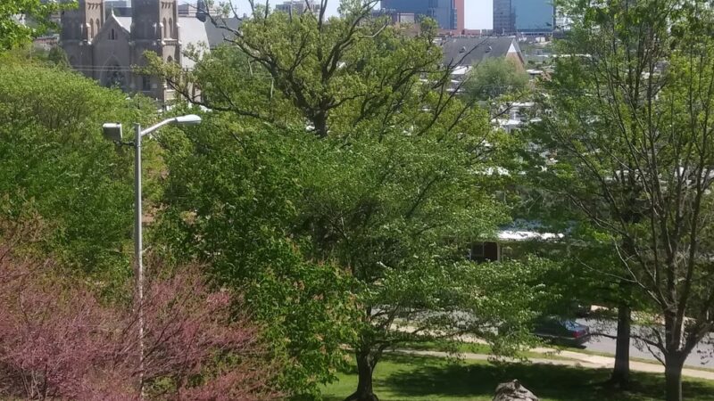 Kosciuszko Park - Wilmington, DE