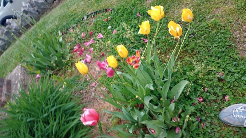 Kosciuszko Park - Wilmington, DE